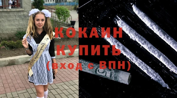 мдпв Михайлов