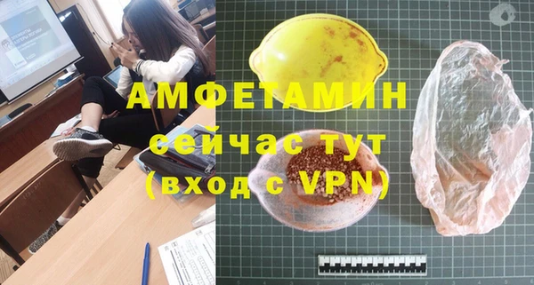 мдпв Михайлов