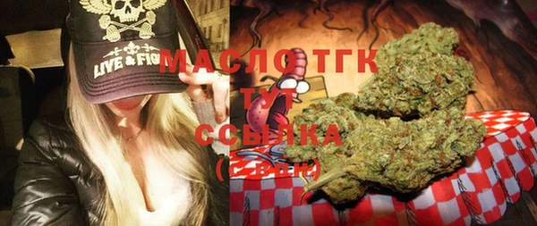 мдпв Михайлов