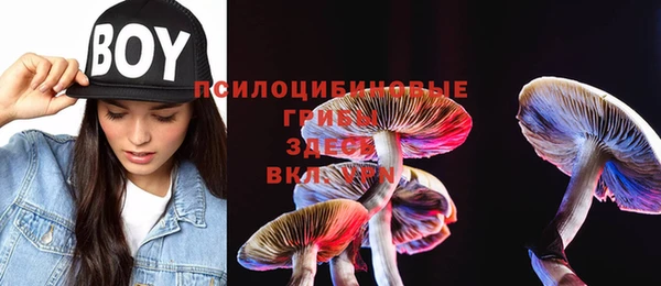 МДПВ Михайловск