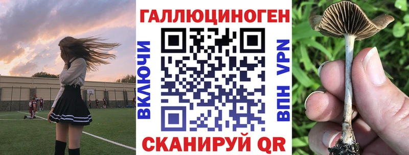 цена блэк спрут сайт Галлюциногенные грибы мухоморы Барнаул