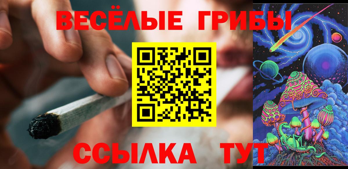 Псилоцибиновые грибы прущие грибы  купить закладку  Псилоцибиновые грибы Psilocybine cubensis  Барнаул 