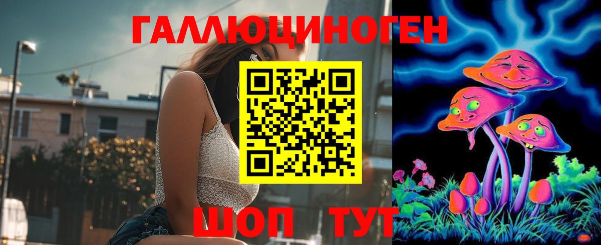 наркота  Вход с VPN  Барнаул  Псилоцибиновые грибы Psilocybe 