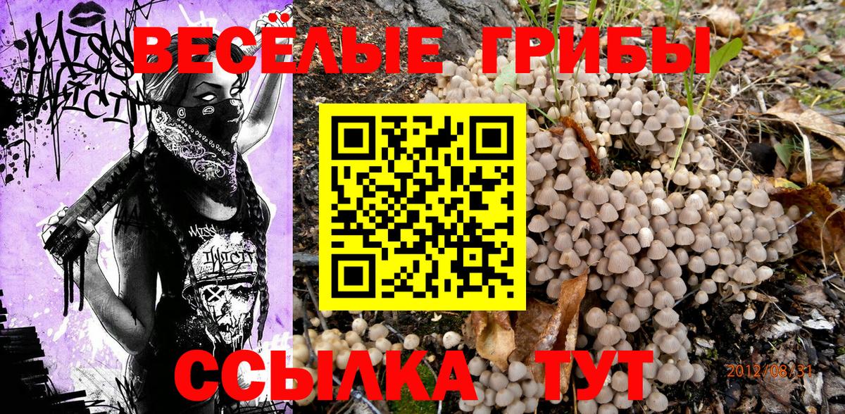 Галлюциногенные грибы Psilocybine cubensis Барнаул